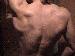 Ramin05 photo # 1