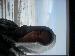 radk24 photo # 8