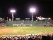 RedSox_Freak photo # 3