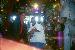 redbelt1540 photo # 6