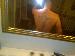 rhys87 photo # 3