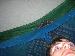 RiCh_pUnK photo # 8