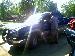 rich_bitch photo # 9