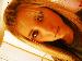 roare photo # 5
