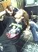 rocker80s photo # 3