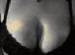 roseblm18 photo # 7