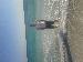 royphillips4320 photo # 1