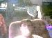 Ryan98823 photo # 2