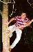 ryan8186 photo # 5
