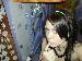 S_a_K_u_R_A photo # 1