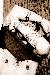 Sabastian290 photo # 10