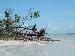Sapo813 photo # 7