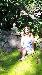 sarah1988 photo # 6