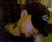 Sc0tt13_ photo # 6