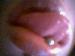 SEXc_69 photo #5