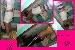 SeCkSeYxOx photo # 10