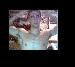 Seige92000 photo # 3