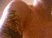 semperfi267 photo # 3