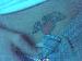 sexcblond13 photo # 5