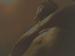 sexxx_foru photo # 1
