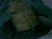 sexyguy37 photo # 4