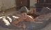 sexystud26 photo # 8