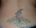 Shortnsxy86 photo # 3