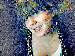 shelby_baby photo # 7