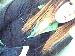 shirleeeey photo # 1