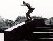 sicksaskskater photo # 1