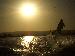 skasnotdead photo # 2