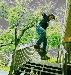 skater915 photo # 1