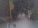 skweex photo # 7