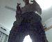 sky_wolf photo # 8