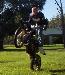 SmoothSkiLLz photo # 9