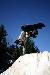 Snoshredder photo # 6