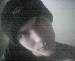 Sonic_gr photo # 7