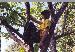 solaris20 photo # 10