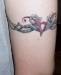 solobaric54 photo # 7