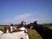 spartan5003 photo # 7