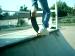 spidee440 photo # 9
