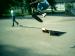 spidee440 photo # 10