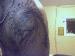 sportpro345 photo # 6