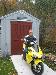 Steve713 photo # 4