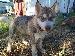 stryder86 photo # 1