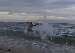 SuRFeR_69 photo # 7