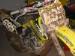 SuzukiRacer695 photo # 6