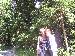 sunbeam photo # 6