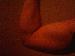 supahskilz photo # 1