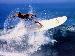surfboy21 photo # 1